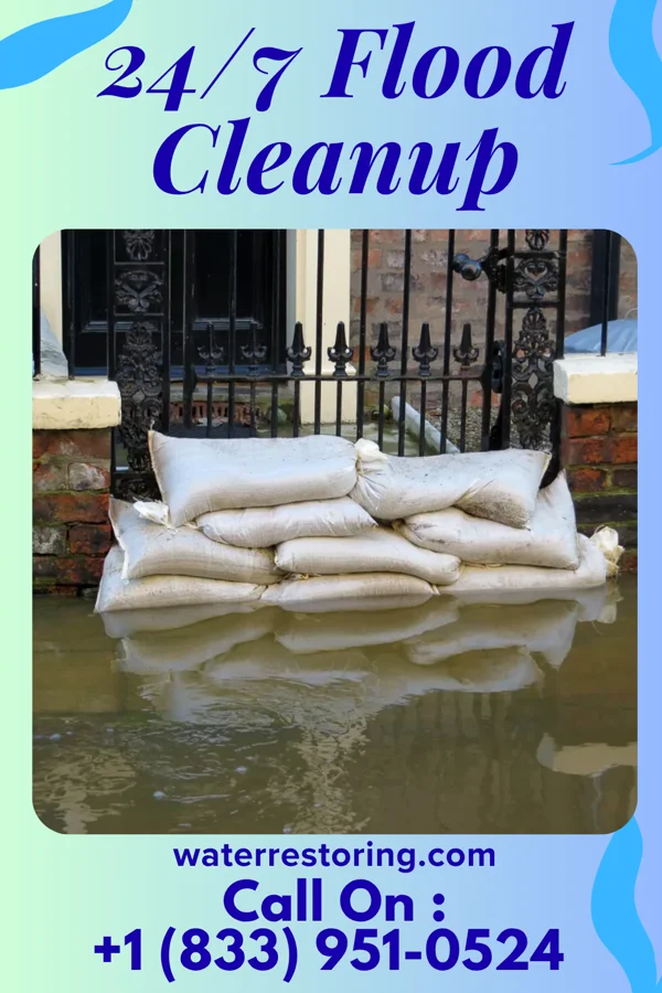 24/7 Flood Cleanup in Lakeview, AR