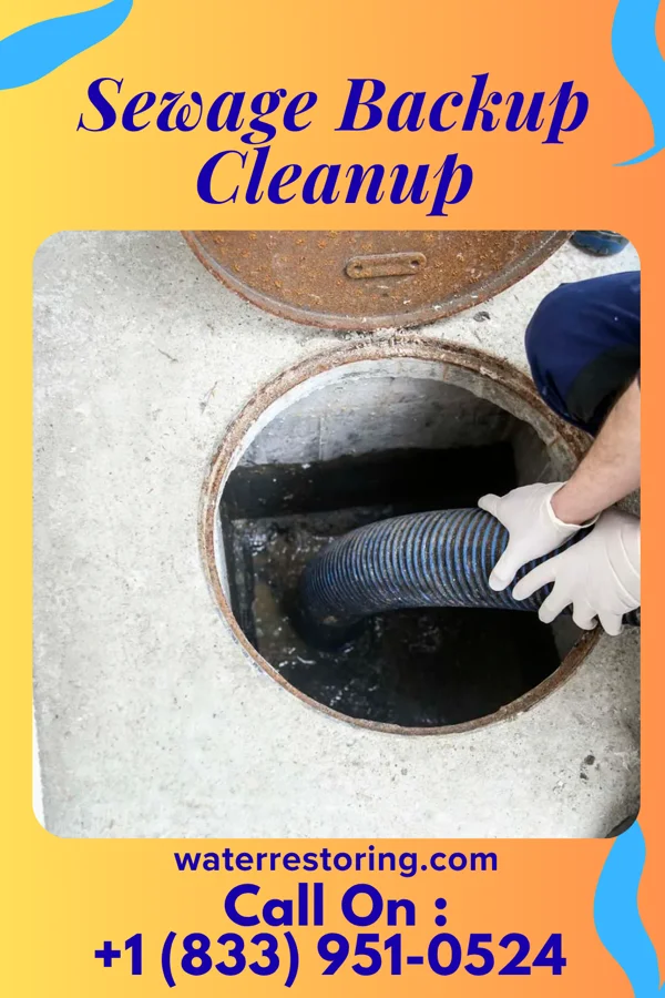 Sewage Backup Cleanup in Lakeview, AR