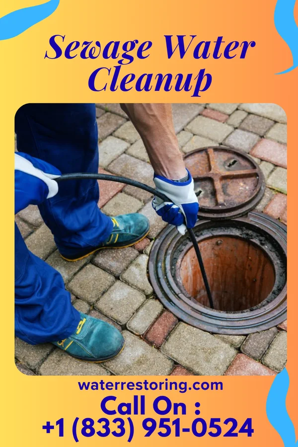 Sewage Water Cleanup in Lakeview, AR